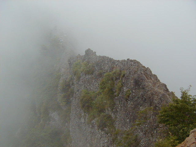 P7200008.jpg