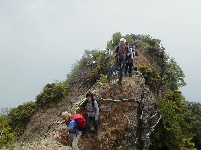 P7200010.jpg