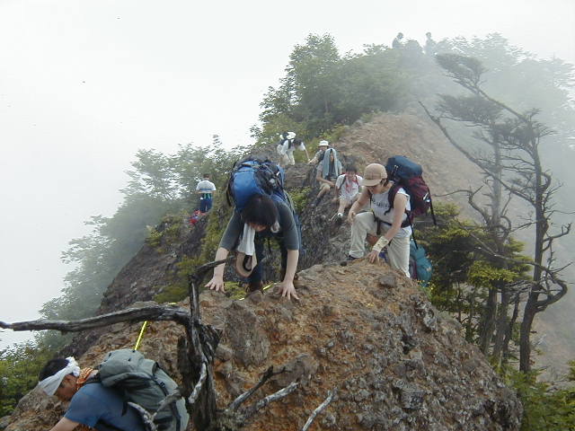 P7200013.jpg