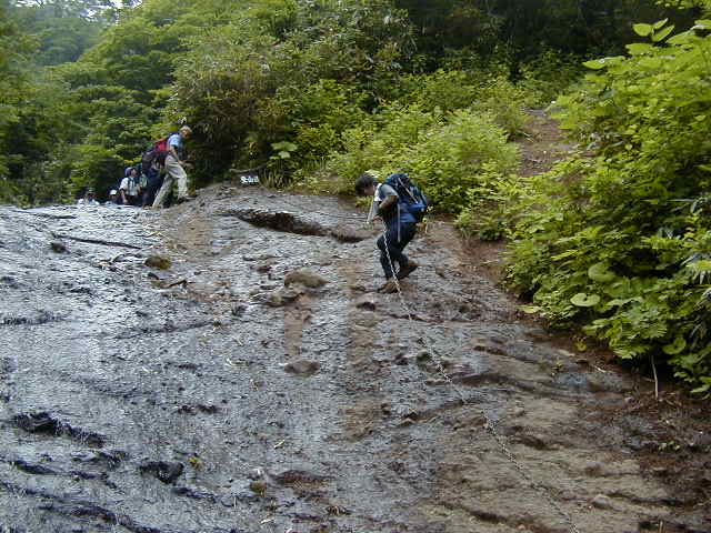 P7200027.jpg